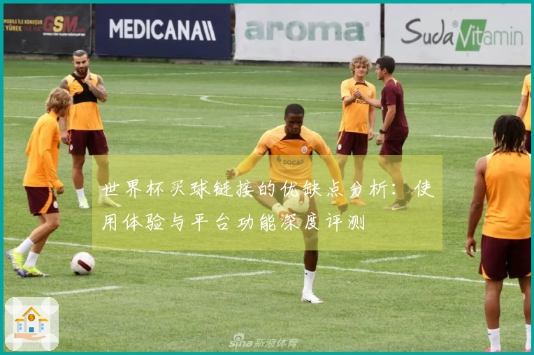 世界杯买球链接的优缺点分析：使用体验与平台功能深度评测