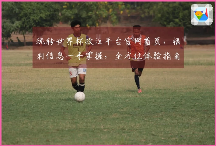玩转世界杯投注平台官网首页，福利信息一手掌握，全方位体验指南