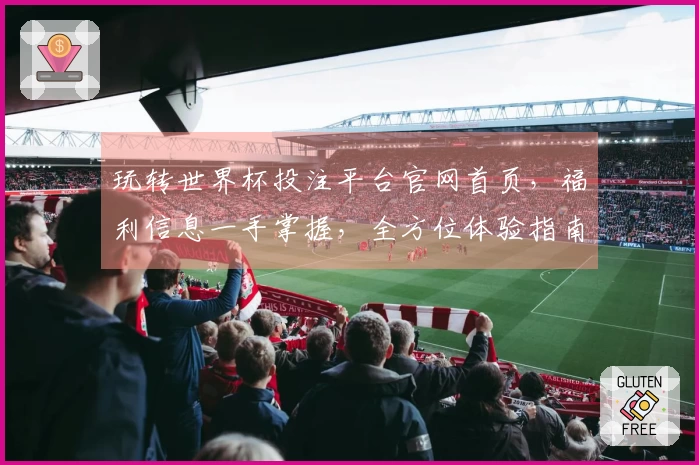 玩转世界杯投注平台官网首页，福利信息一手掌握，全方位体验指南