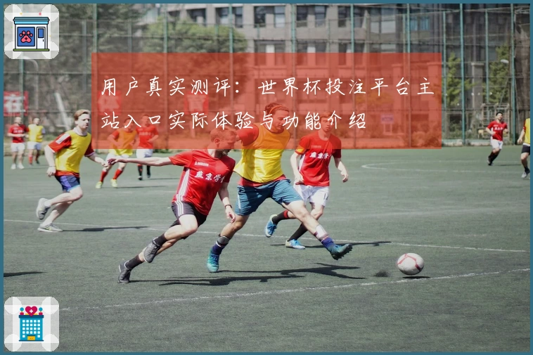 用户真实测评：世界杯投注平台主站入口实际体验与功能介绍